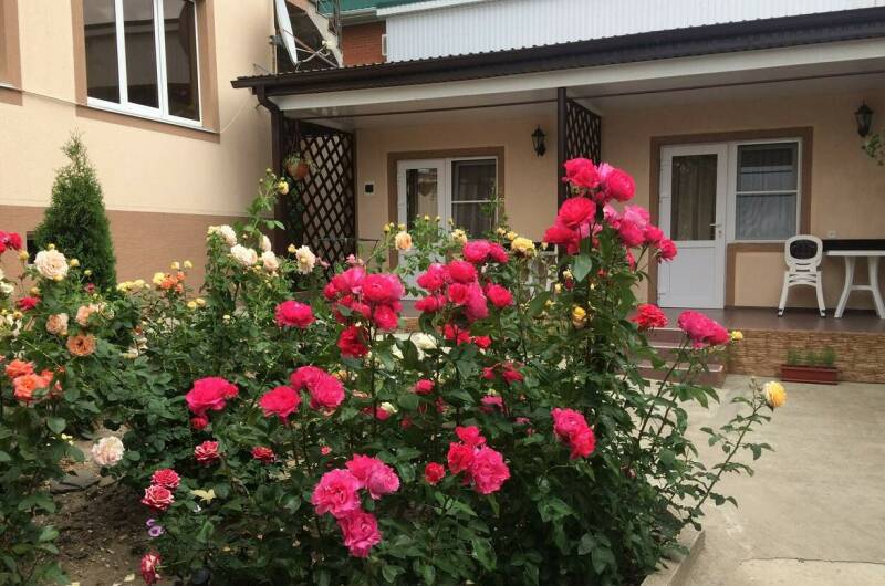 Гостевой дом «Акварельная 4»