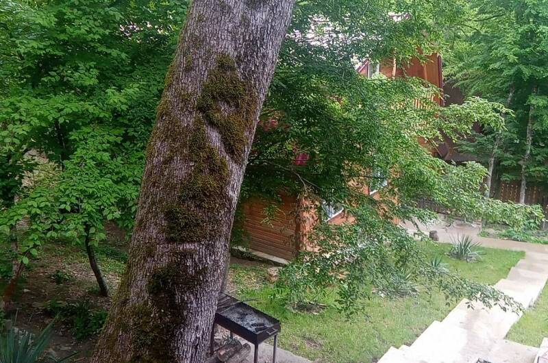 Гостевой дом «Betta-village»