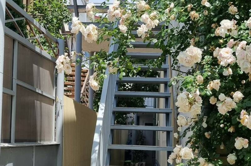 Этаж под ключ на 6 человек