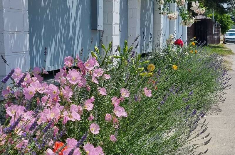 Этаж под ключ на 6 человек