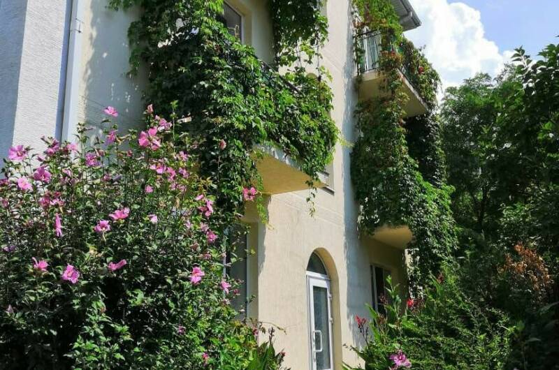 Частный дом на ул. Революционной, 136 (У Ларисы)