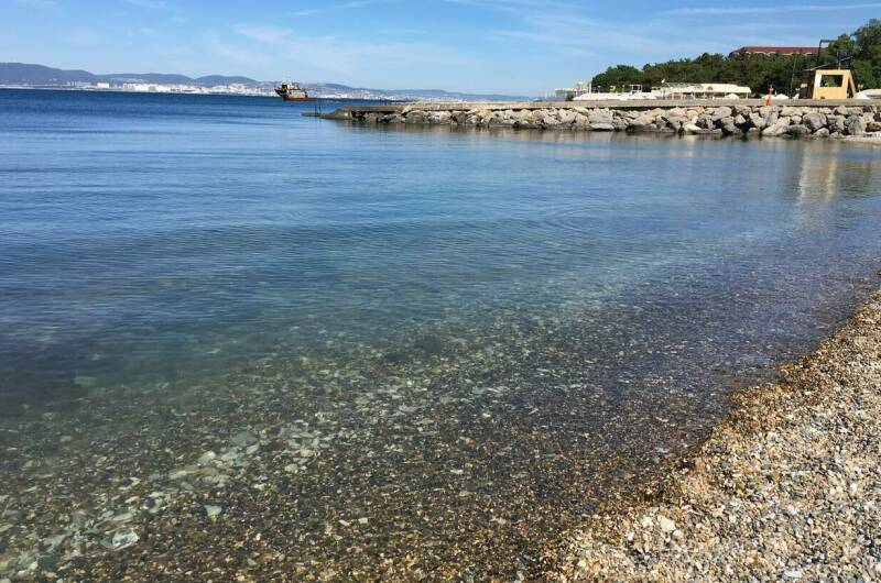 Частный дом на Революционной 136/1 (У Олеси)