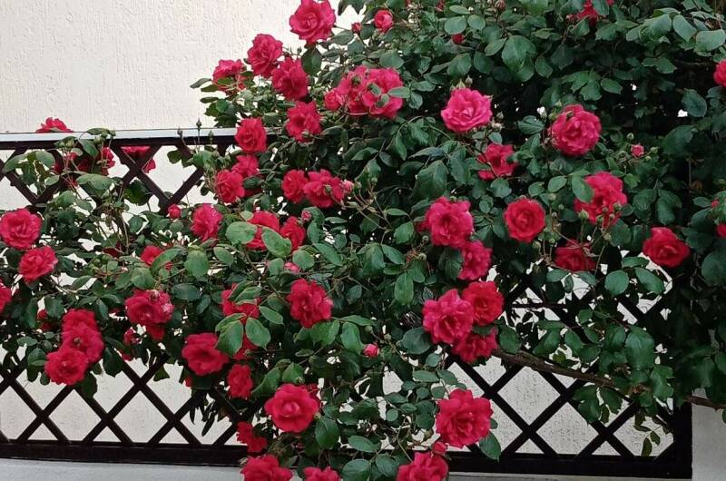 Частный дом «Акварель»