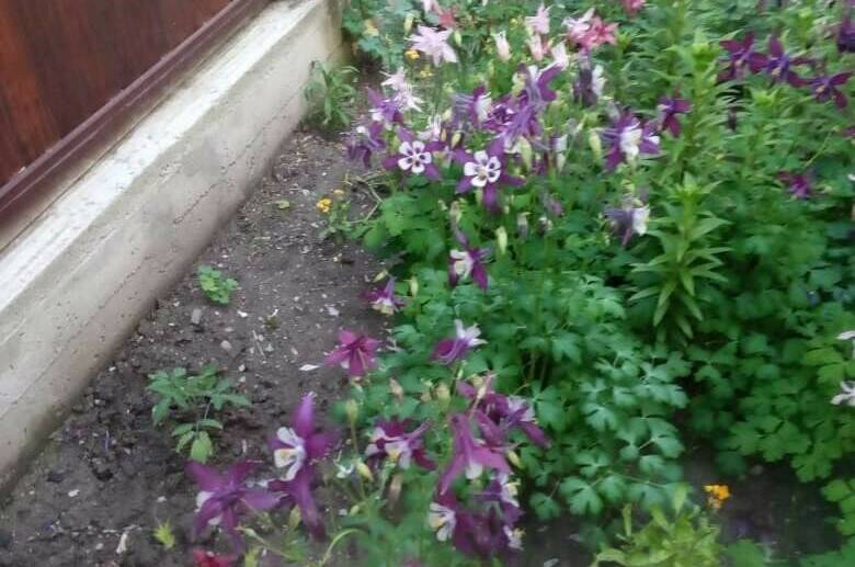 Частный сектор на Новой