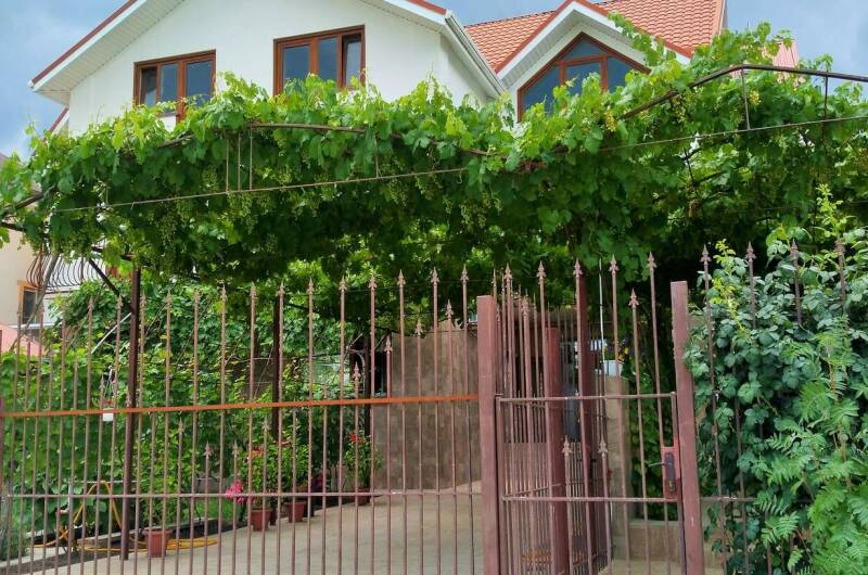 Частное домовладение «Верт»