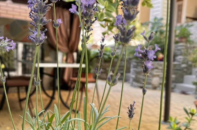 Гостевой дом «Владислав»