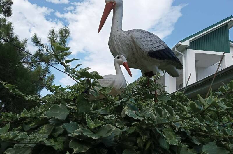 Апартаменты под ключ «Анна»