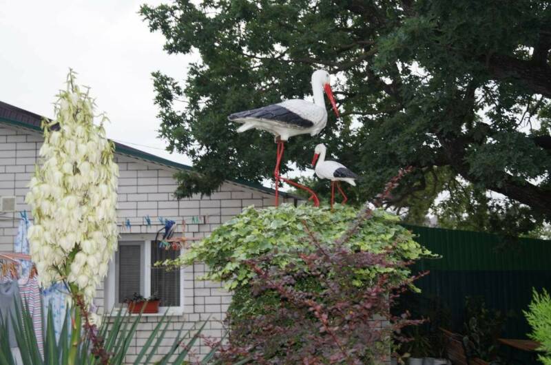 Апартаменты под ключ «Анна»