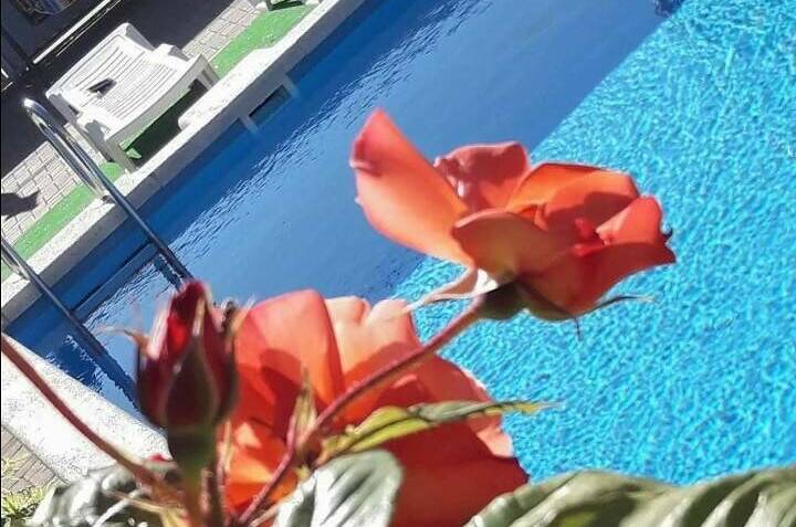 Гостевой дом «Морская миля»