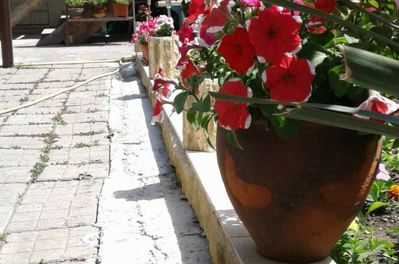 Частный сектор «Свой дом»