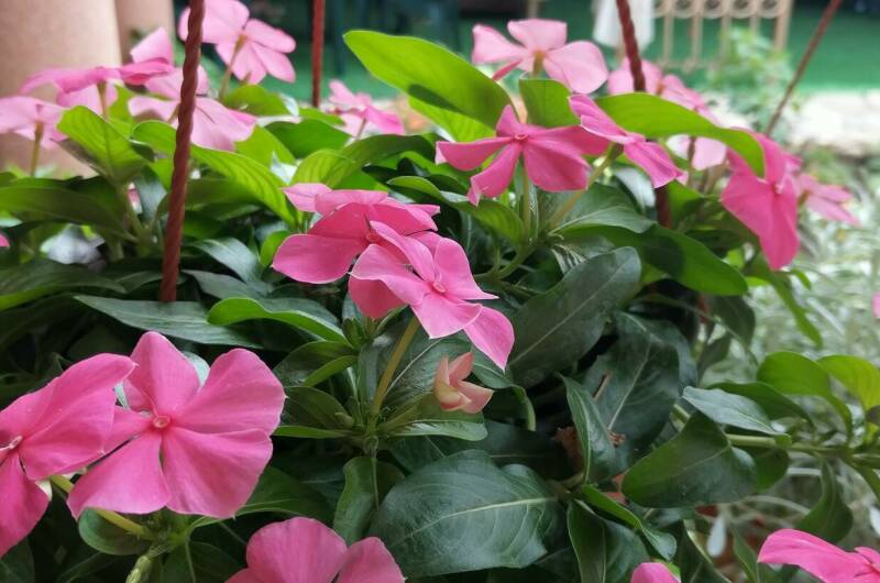 Частный сектор на Ленина