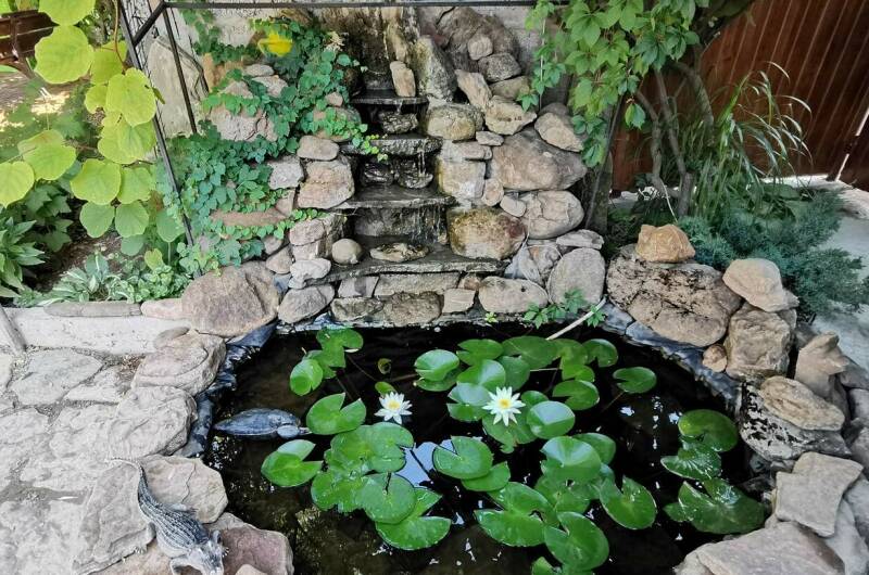 Гостевой дом «Райский островок»