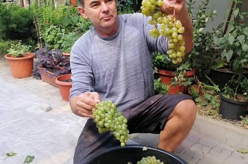 Гостевой дом «На Красногвардейской 51»