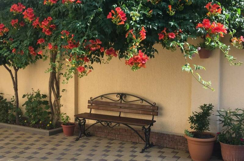 Гостевой дом «У Георгия и Ирины»