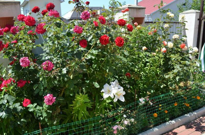 Гостевой дом «Странник»