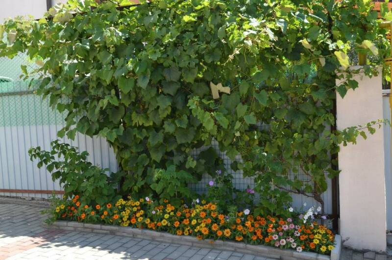 Гостевой дом «Странник»