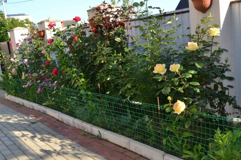 Гостевой дом «Странник»