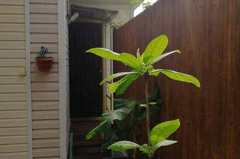 Гостевой дом «У Романа и Светланы»