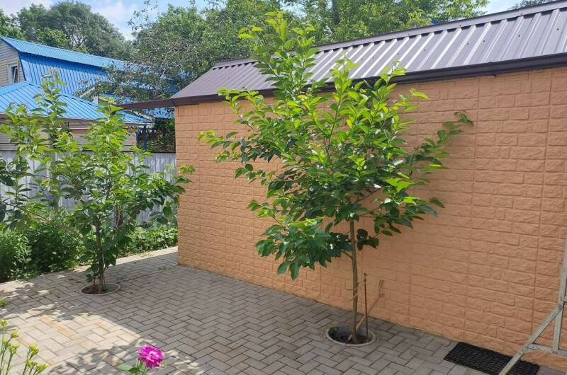 Гостевой дом «Отдых у дяди Васи»