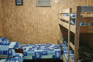 Изображение Бетты #1