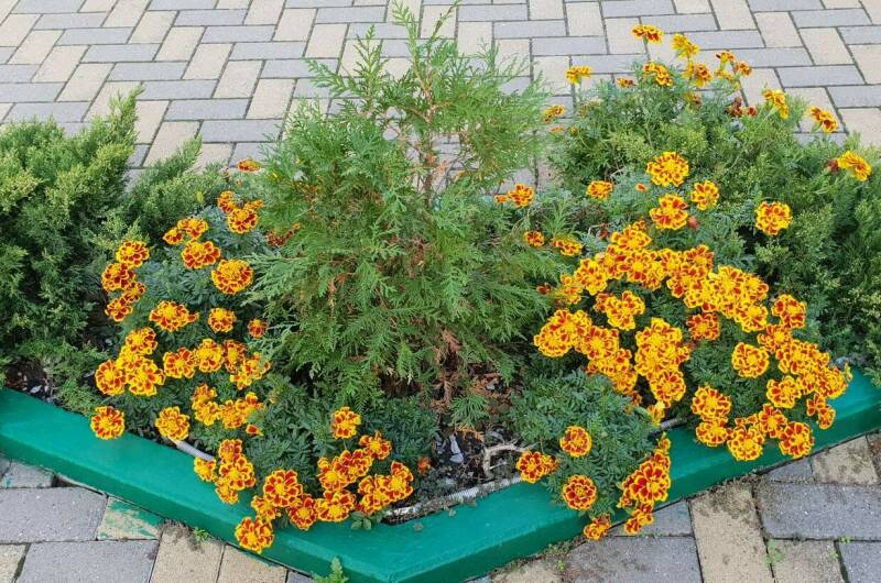 Гостевой дом «Семейный»