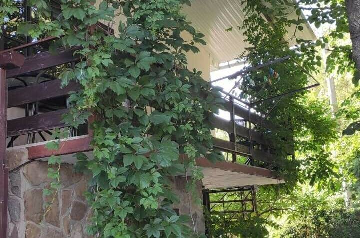 Дом на Кирпичной 6