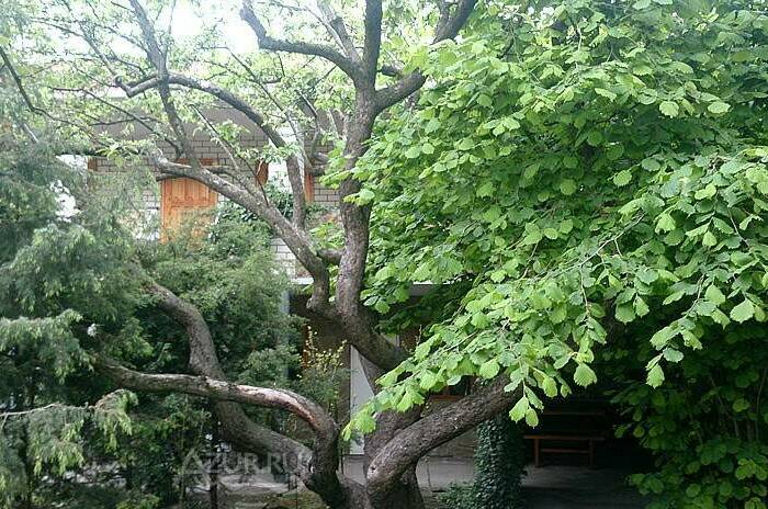 Дом на Кирпичной 6