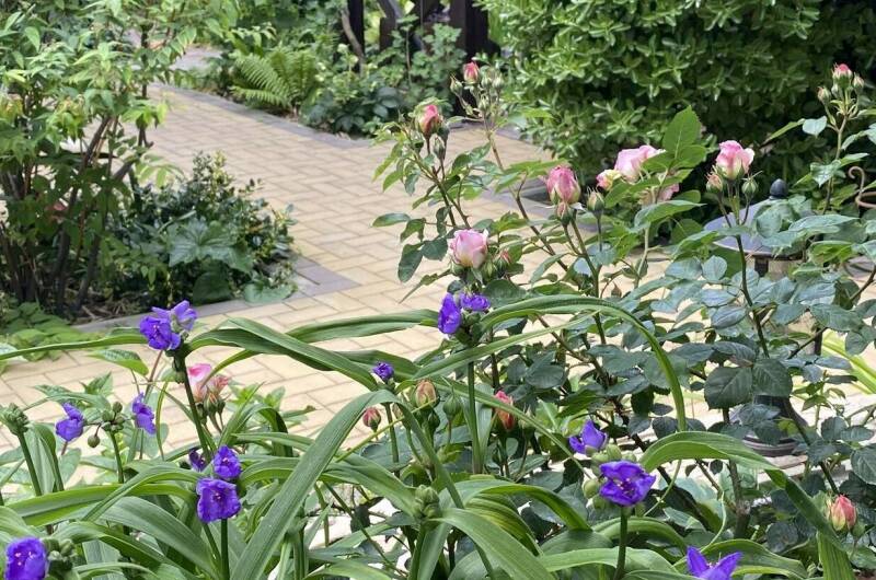 Частное домовладение на Партизанской