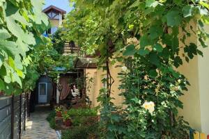 Изображение Гостевой дом «Золотая Рыбка» #3