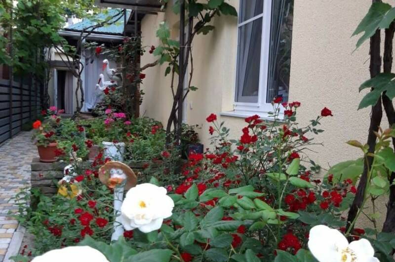 Гостевой дом «Золотая Рыбка»