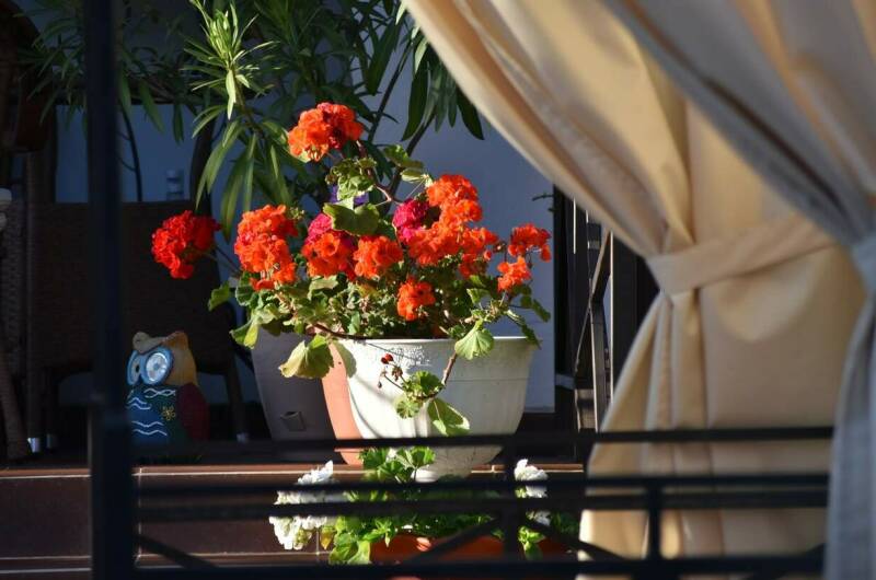 Гостевой дом «Лавандовый дворик»