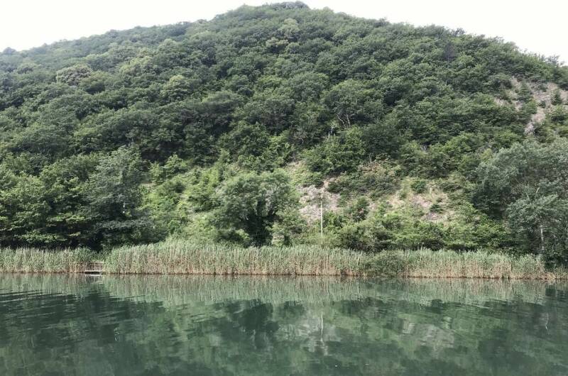 Апартаменты «Белая береза»