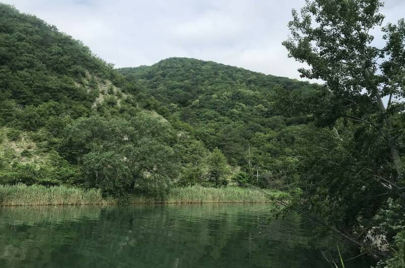 Апартаменты «Белая береза»