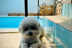 Изображение Домик под ключ на 5−6 человек #3