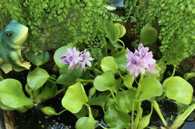 Частный дом «Тенистый дворик»