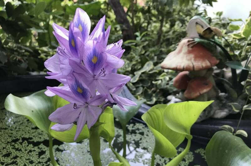 Частный дом «Тенистый дворик»