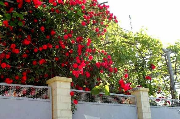 Гостевой дом «София»