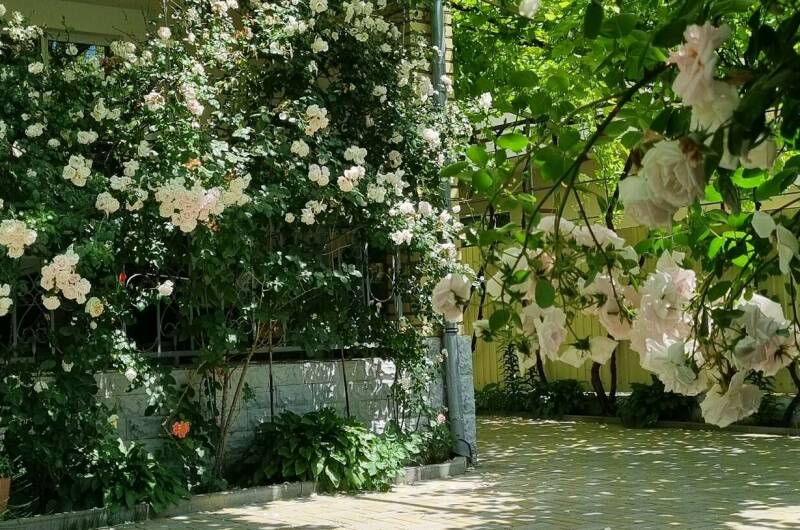 Гостевой дом «София»