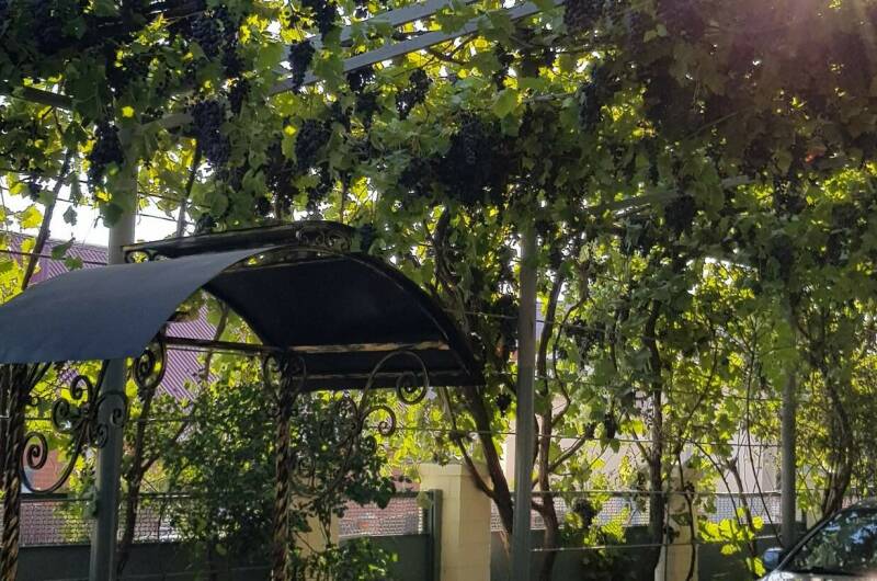 Гостевой дом «София»