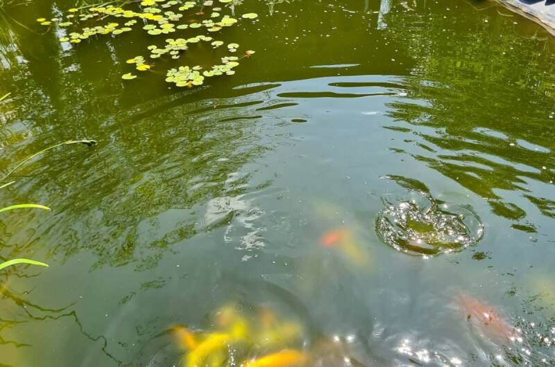 Гостевой дом «Тихий уголок»