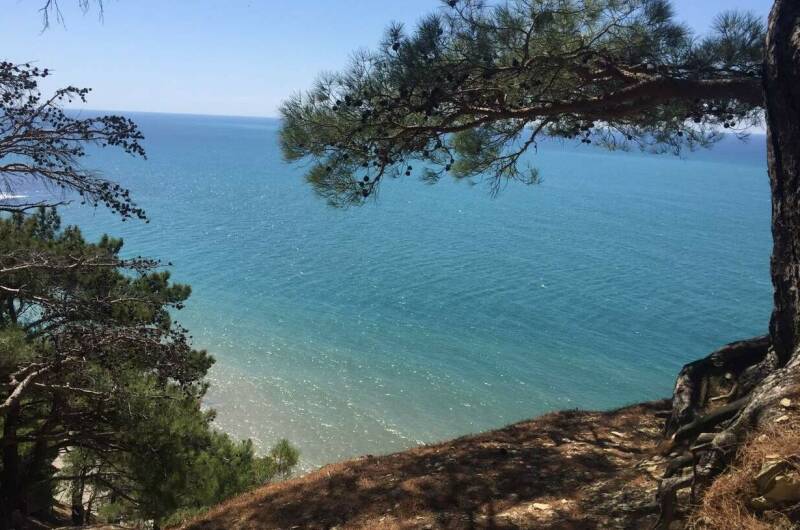 Гостевой дом «Зевс»