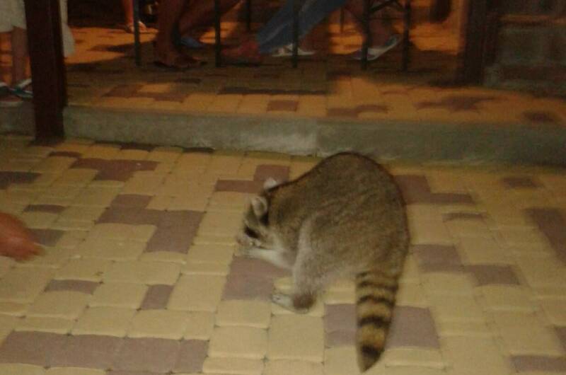 Гостевой дом «Зевс»