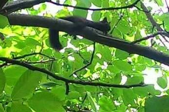 Гостевой дом «Зевс»