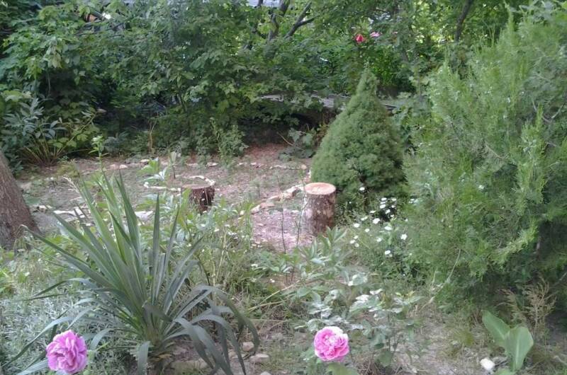 Гостевой дом «Шамбала»