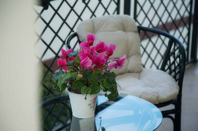 Комнаты в наем «Dynasty на Янтарной»