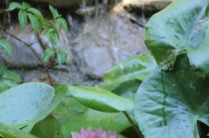 Жилые мебелированные комнаты на улице Садовая 1А