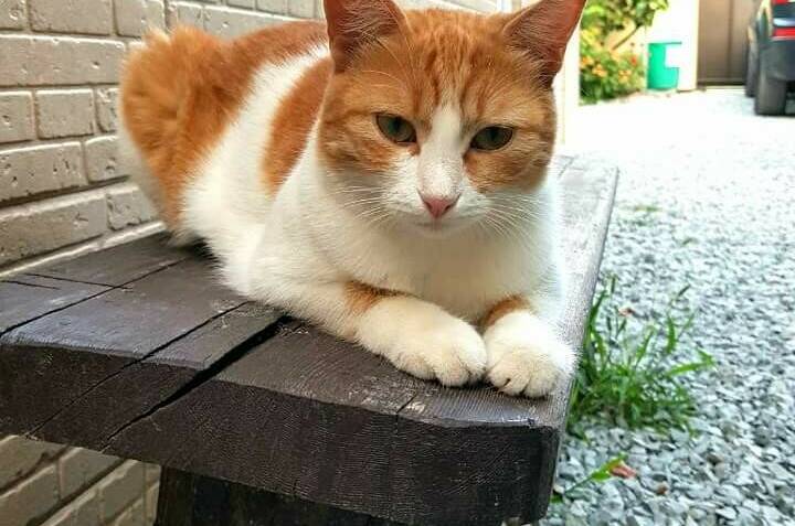 Частный дом на Радужной