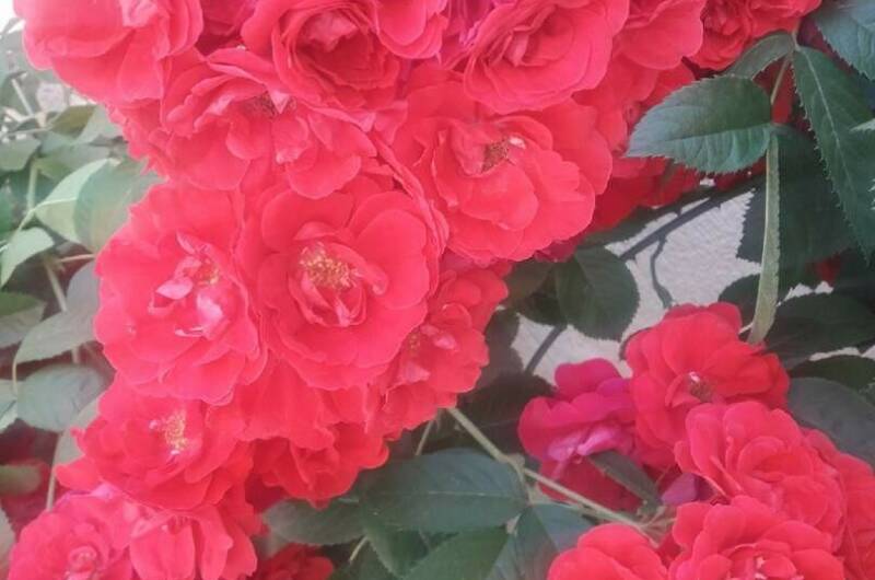 Частный дом «на Черноморской 4 В»