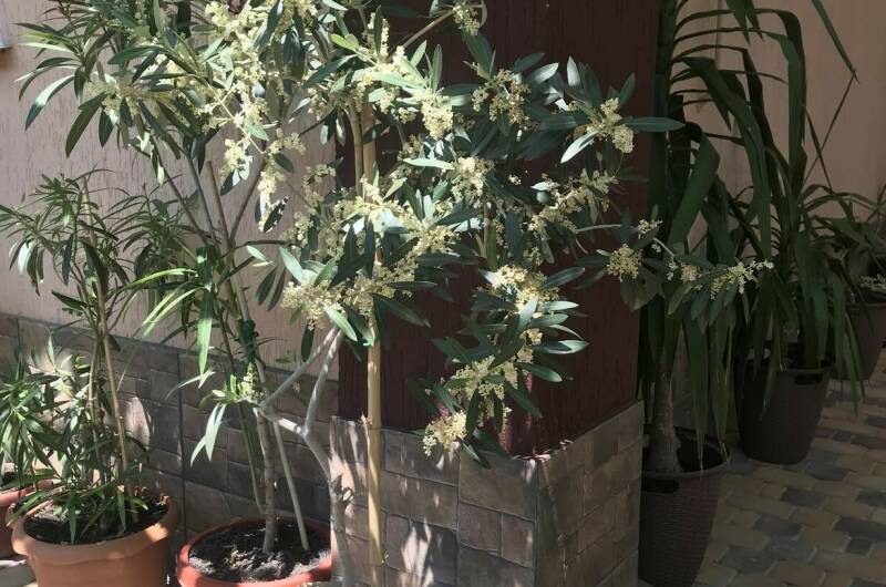 Гостевой дом «У Валентины»