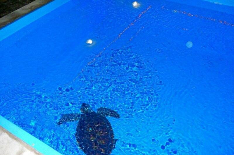 Частный дом на Северной